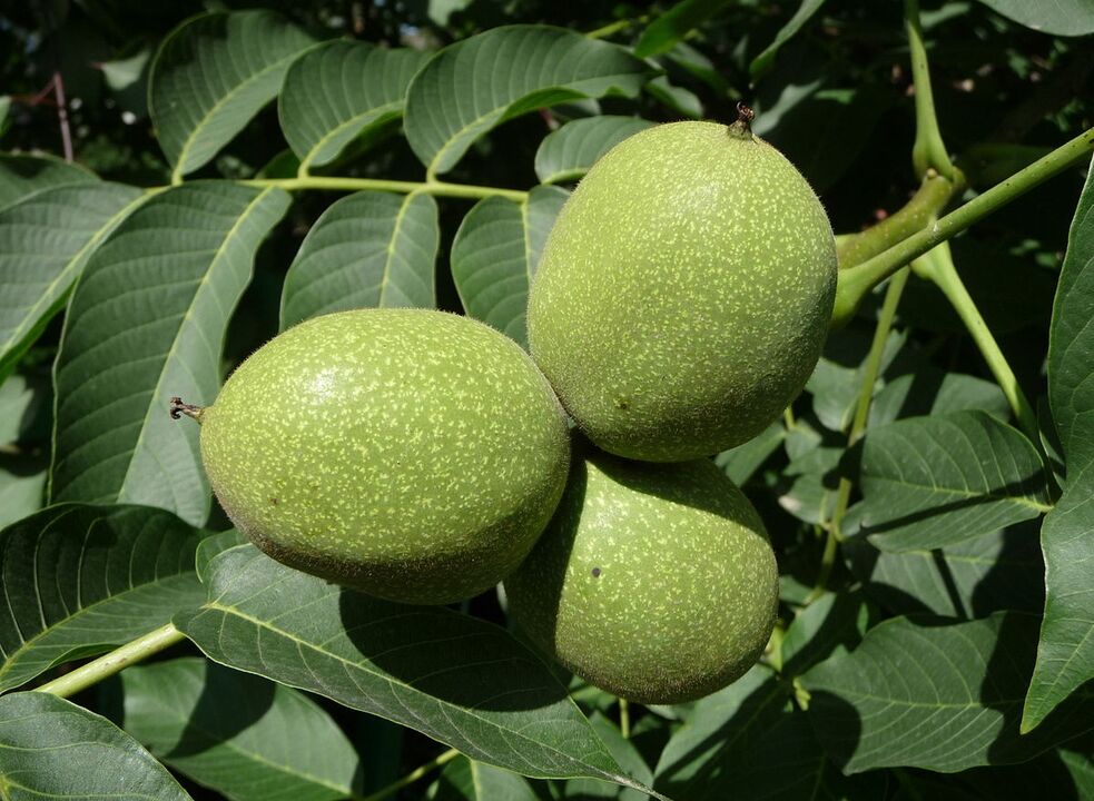 green walnut for power